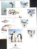 [Global Conservation - Seals and Penguins, tip GC]