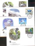 [WWF - Birds - Pacific Reef Heron, type RK]