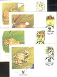 [Fiji Tree Frog, type RZ]