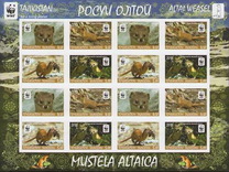 [WWF - Altai Weasel, type VA]