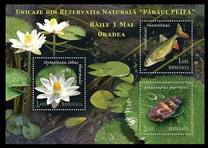 [Natural Reserve Paraul Petea - Flora and Fauna, tyyppi JBP]