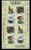 [Flora - Mushrooms, type FR]