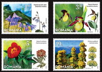 [Flora - Protected Flowers of Romania, Scrivi LDK]